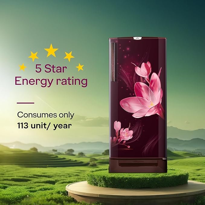 odrej 185 L 5 Star 5 Years Comprehensive Warrant | Advanced Capillary Technology| Toughened Glass Shelves | Direct Cool Single Door Refrigerator (2026 Model, RD 195EN TAI MY WN, Mystic Wine)